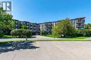 482, 8948 Elbow Drive SW, Calgary, Alberta  T2V 0H9 - Photo 10 - A2320521