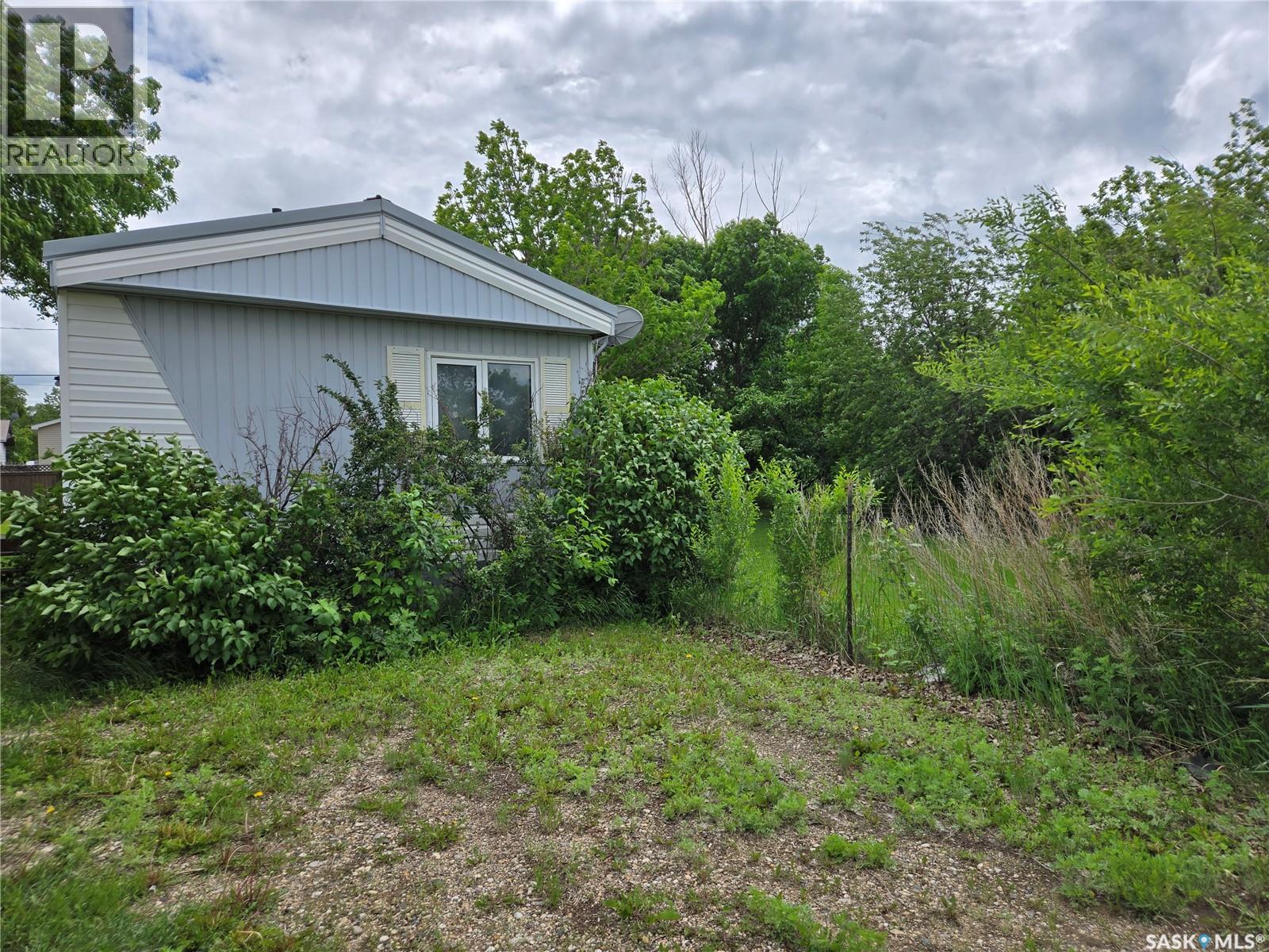 212 Railway Avenue N, Lampman, Saskatchewan  S0C 1N0 - Photo 3 - SK036774