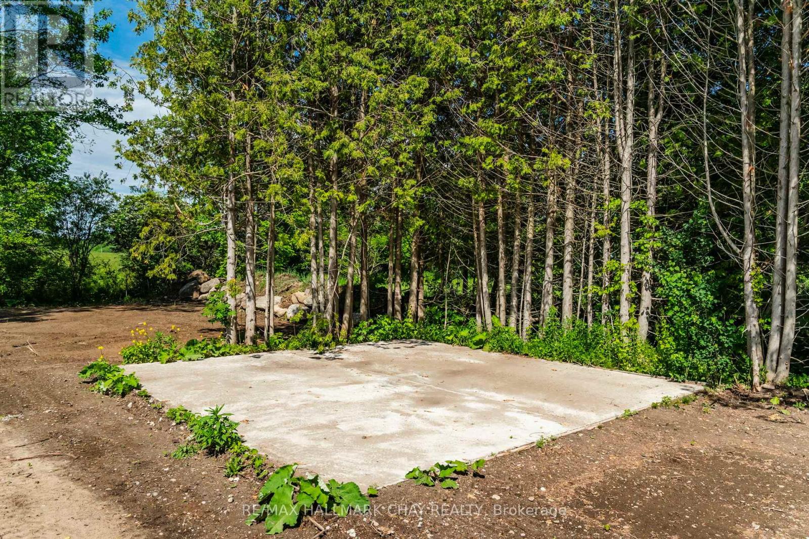 2322 North Orr Lake Road, Springwater, Ontario  L0L 1P0 - Photo 10 - S13441438