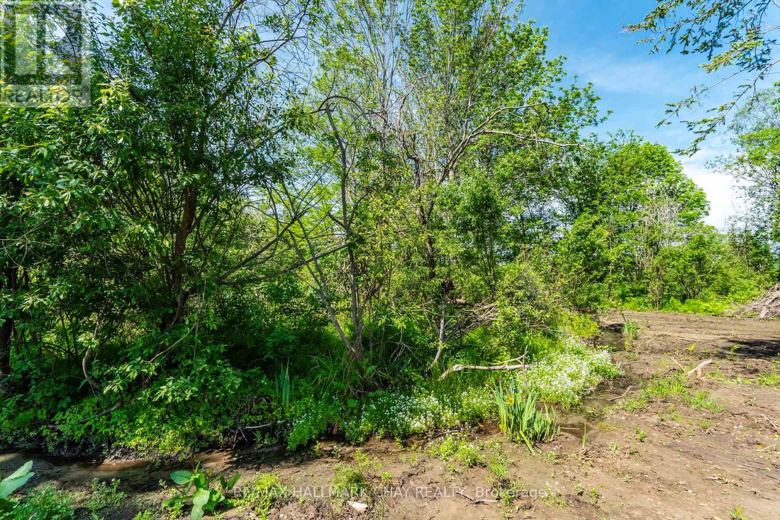 2322 North Orr Lake Road, Springwater, Ontario  L0L 1P0 - Photo 14 - S13441438