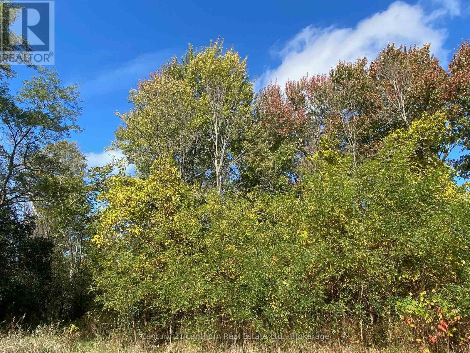 618 Christian Road, Prince Edward County, Ontario  K0K 1G0 - Photo 9 - X13441518