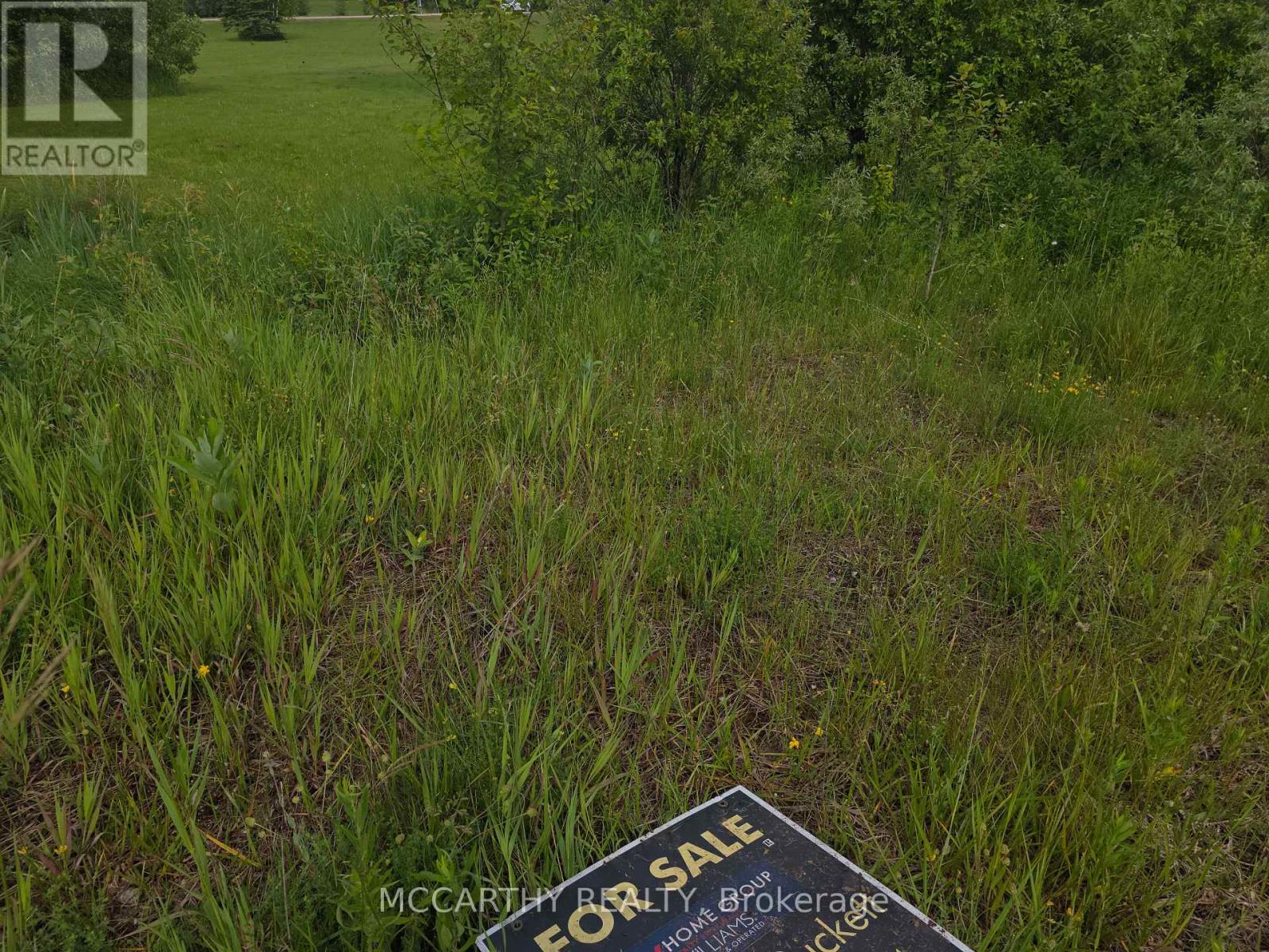 201 Con 2 Swtsr, Southgate 26 Road, Southgate, Ontario  N0C 1B0 - Photo 16 - X12998054