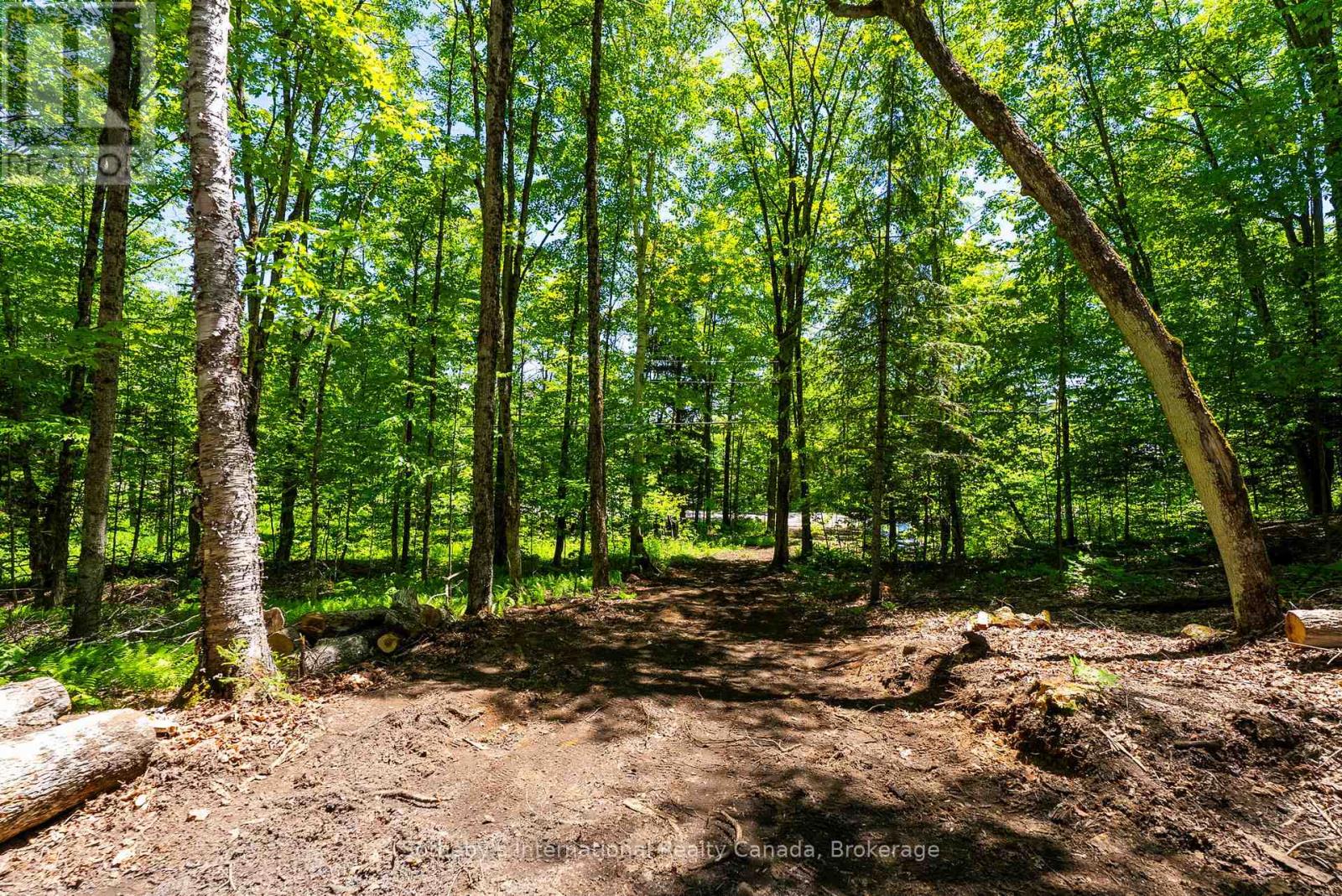 4150 South Portage Road, Huntsville, Ontario  P1H 2J3 - Photo 10 - X13441630