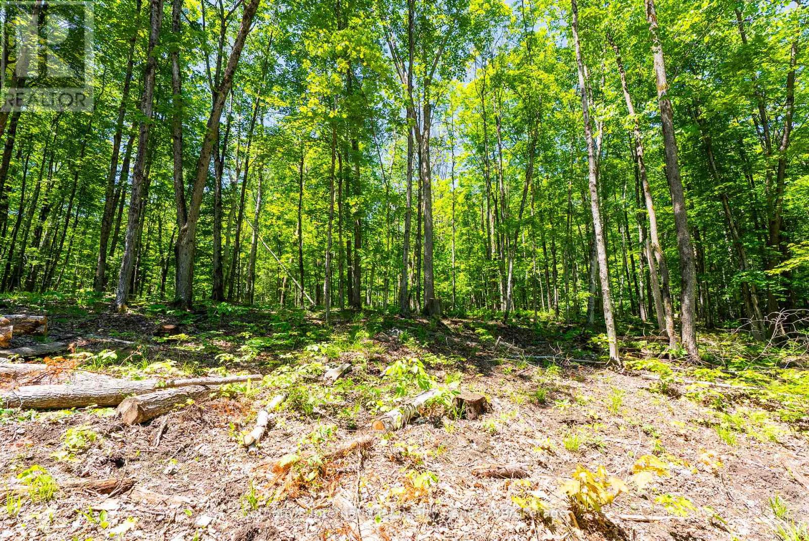 4150 South Portage Road, Huntsville, Ontario  P1H 2J3 - Photo 12 - X13441630