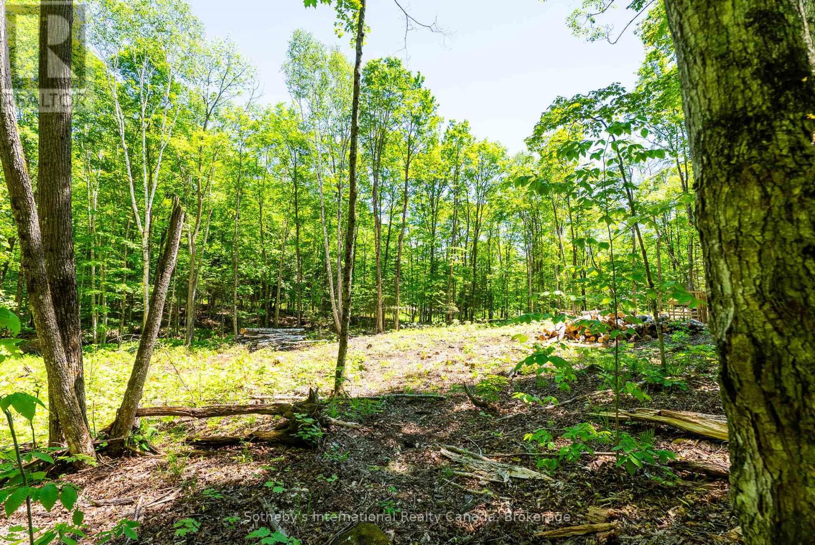 4150 South Portage Road, Huntsville, Ontario  P1H 2J3 - Photo 13 - X13441630