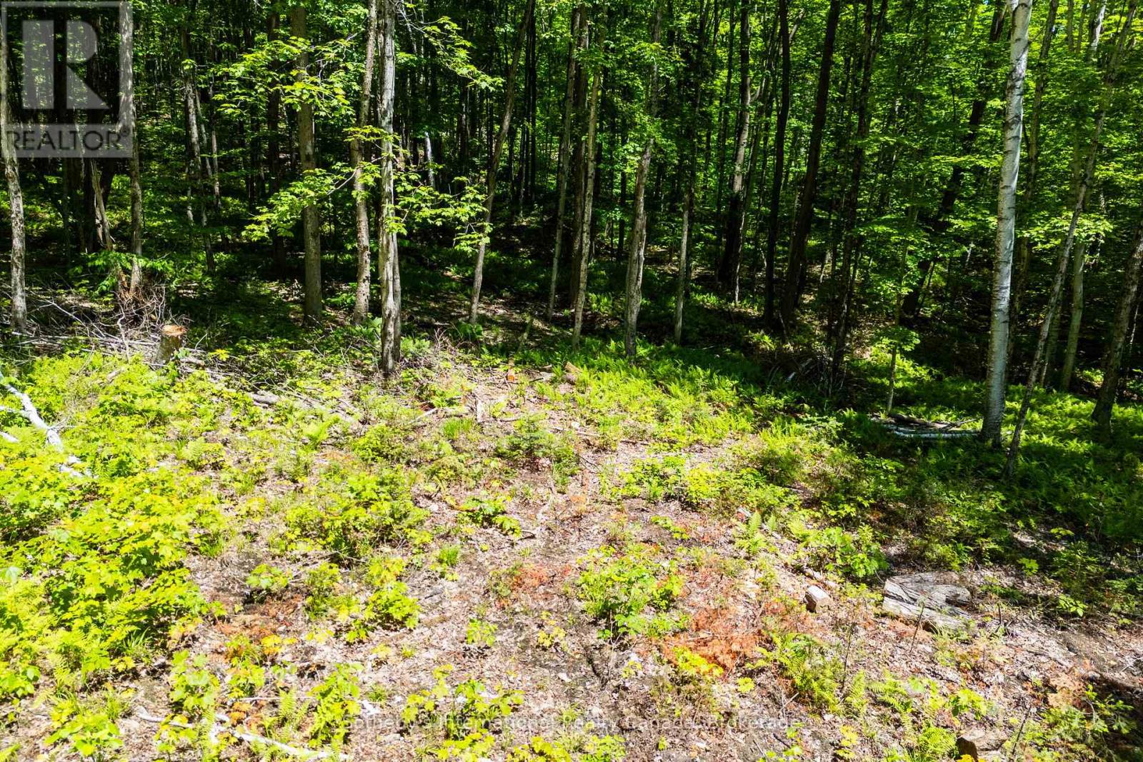 4150 South Portage Road, Huntsville, Ontario  P1H 2J3 - Photo 14 - X13441630