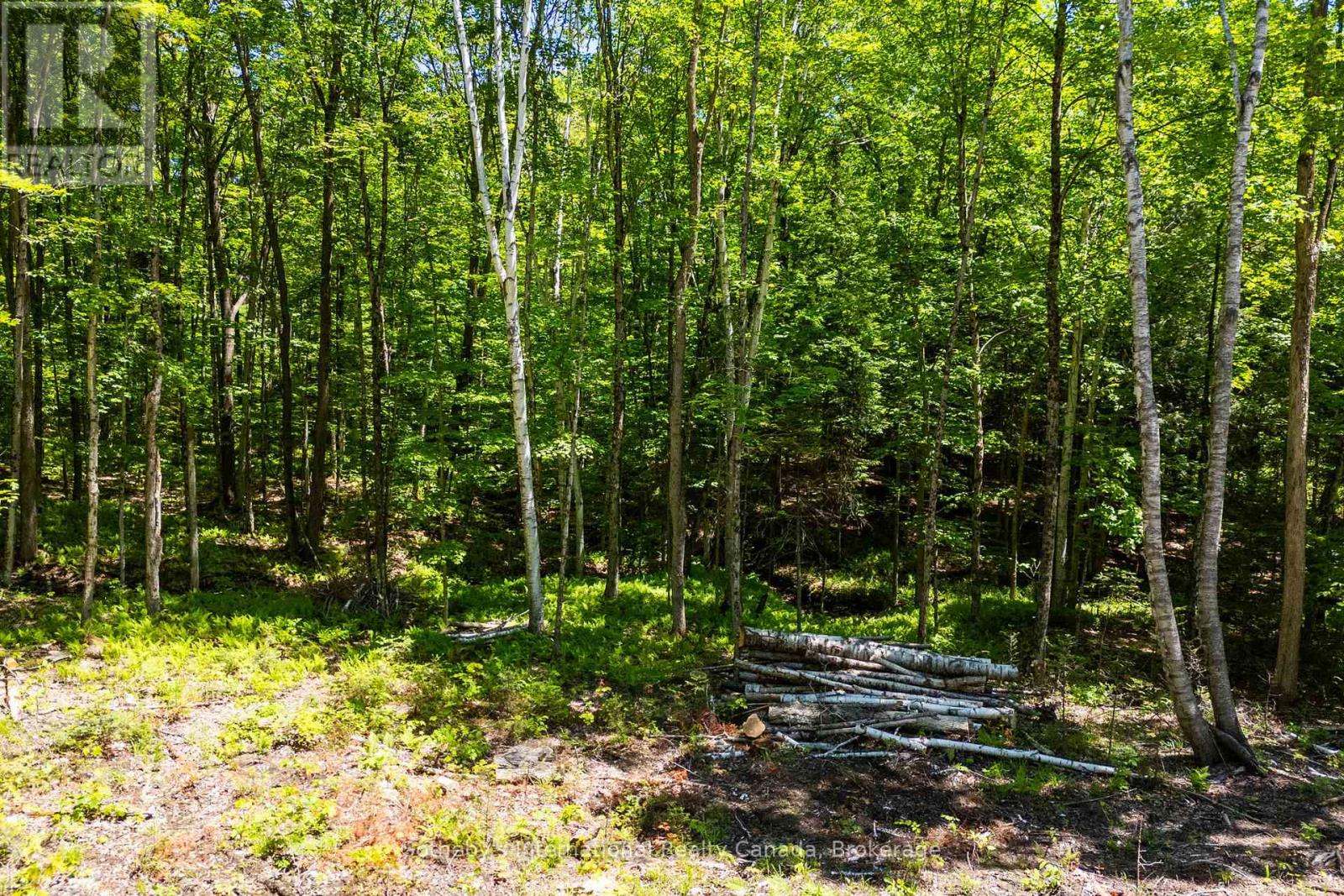 4150 South Portage Road, Huntsville, Ontario  P1H 2J3 - Photo 15 - X13441630