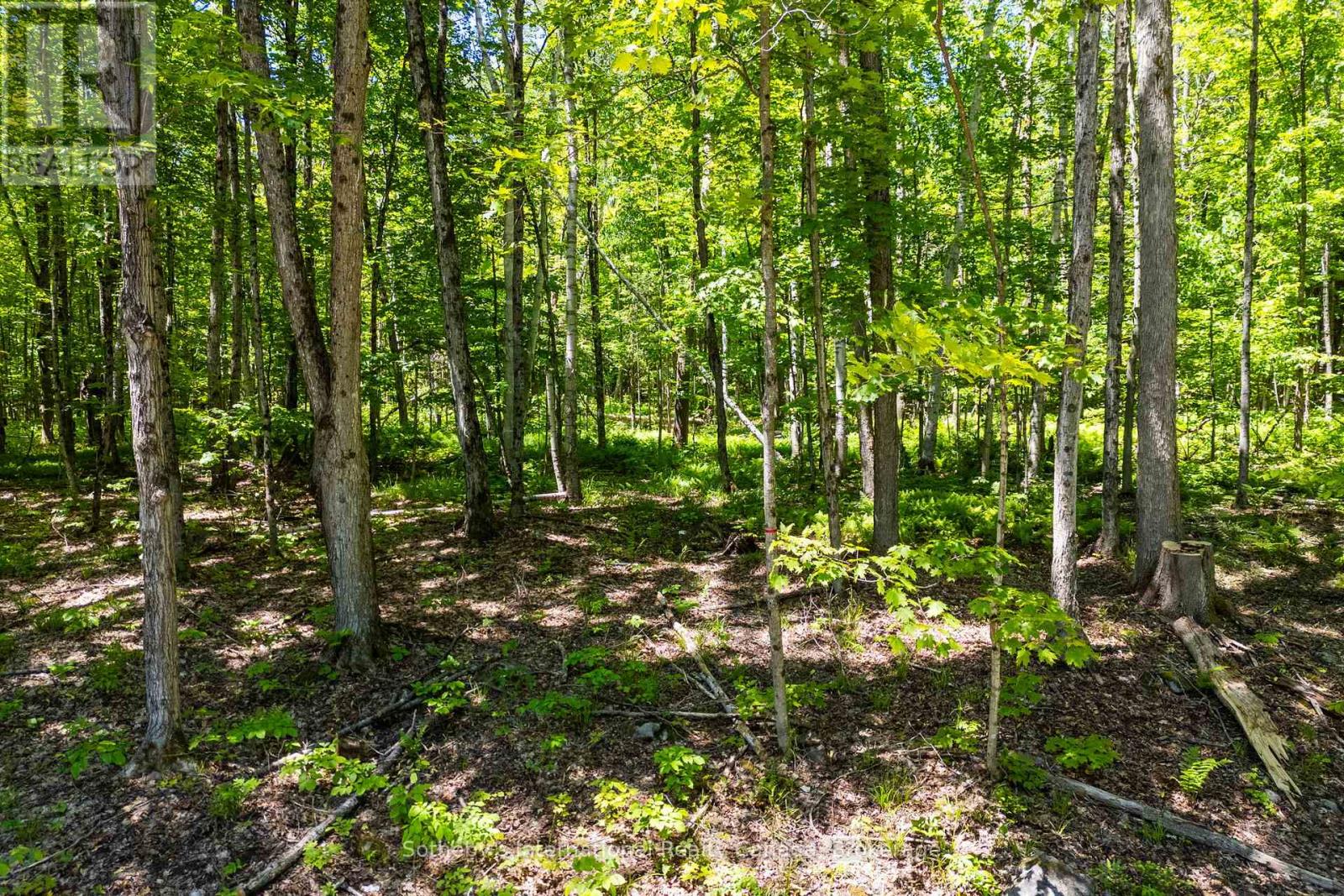 4150 South Portage Road, Huntsville, Ontario  P1H 2J3 - Photo 16 - X13441630
