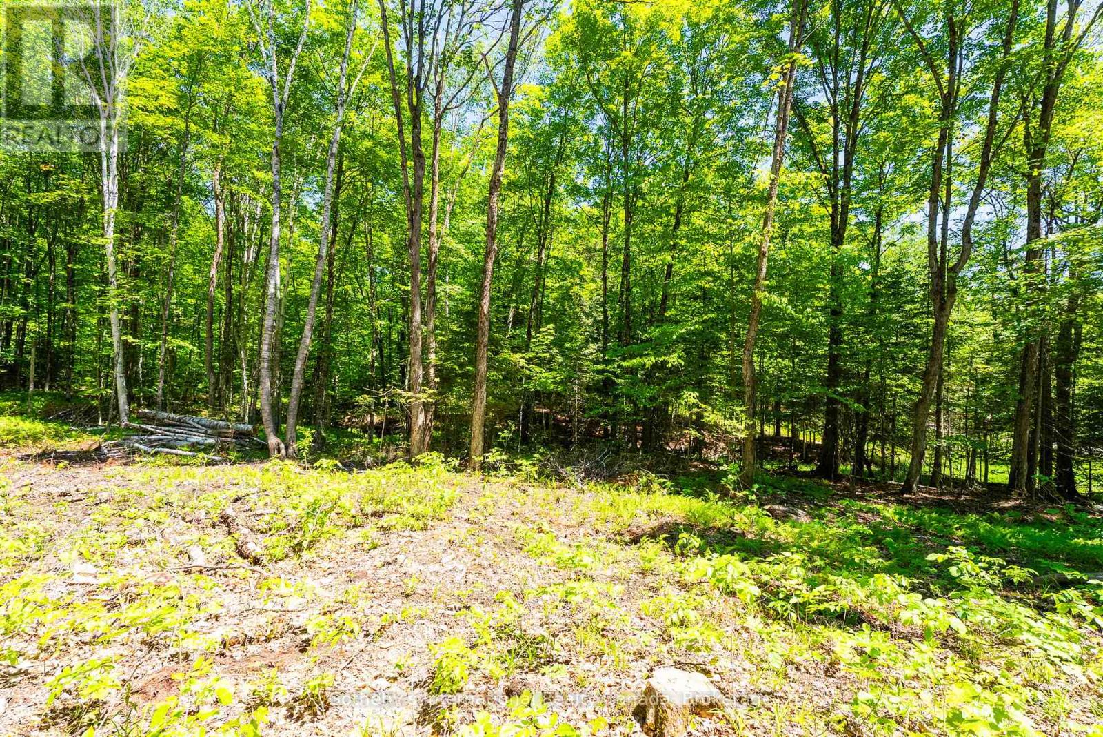 4150 South Portage Road, Huntsville, Ontario  P1H 2J3 - Photo 9 - X13441630