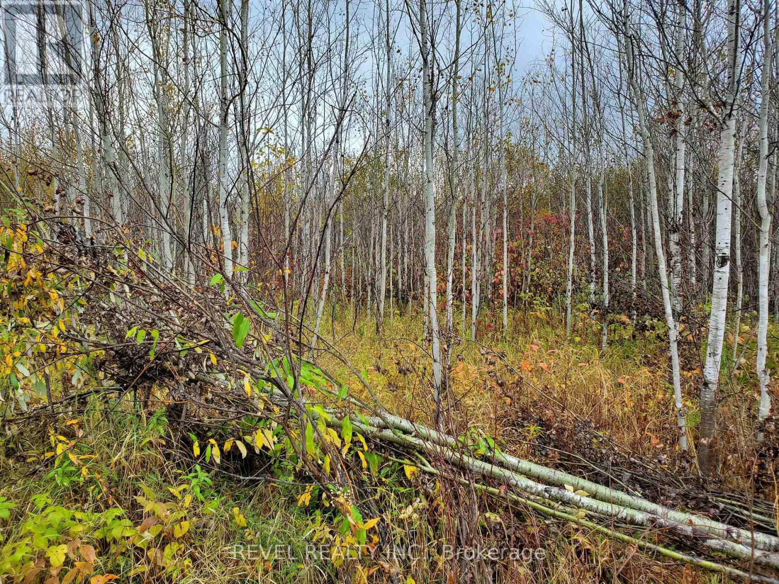 N/a Hislop Con 4 N Pt Lot 9 Rp 6r9291 Part 2, Black River-Matheson, Ontario  P0K 1N0 - Photo 6 - T13116596