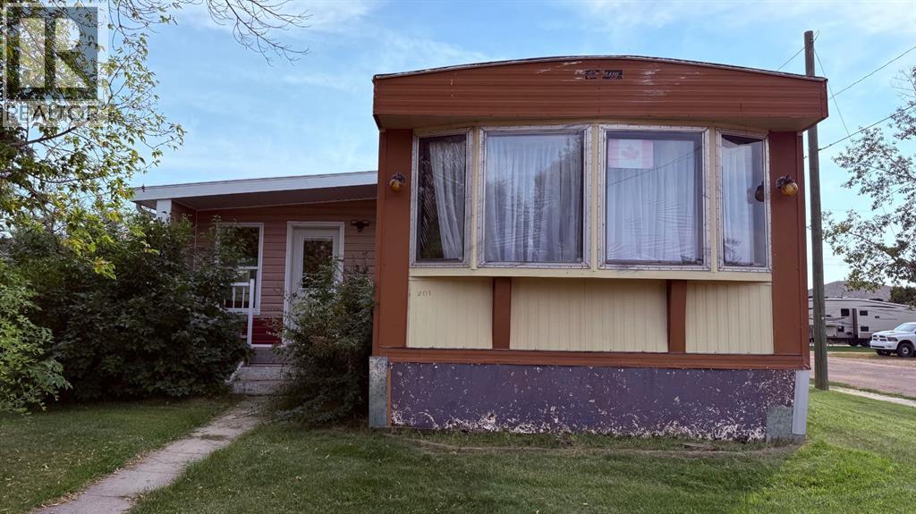 201 3 Avenue SE, Youngstown, Alberta  T0J 3P0 - Photo 1 - A2261865