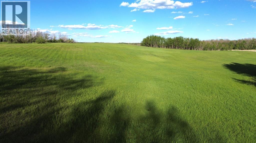 On South Pine Lake Road, Rural Red Deer County, Alberta  T0M 1S0 - Photo 22 - A2320760