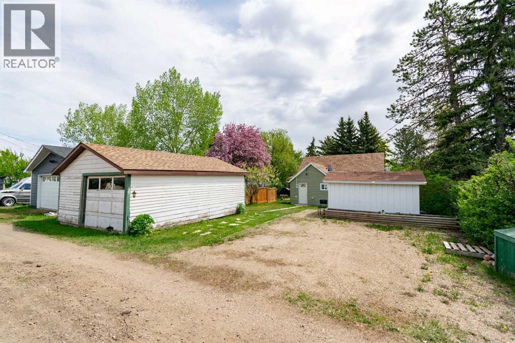 253 4 Avenue S, Big Valley, Alberta  T0J 0G0 - Photo 37 - A2297264