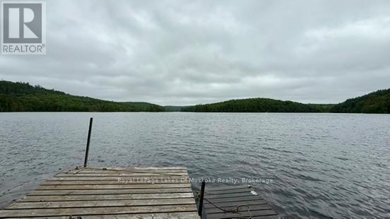 0 Off Island Lake Road, Kearney, Ontario  P0A 1M0 - Photo 17 - X13441830