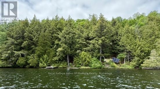 0 Off Island Lake Road, Kearney, Ontario  P0A 1M0 - Photo 19 - X13441830