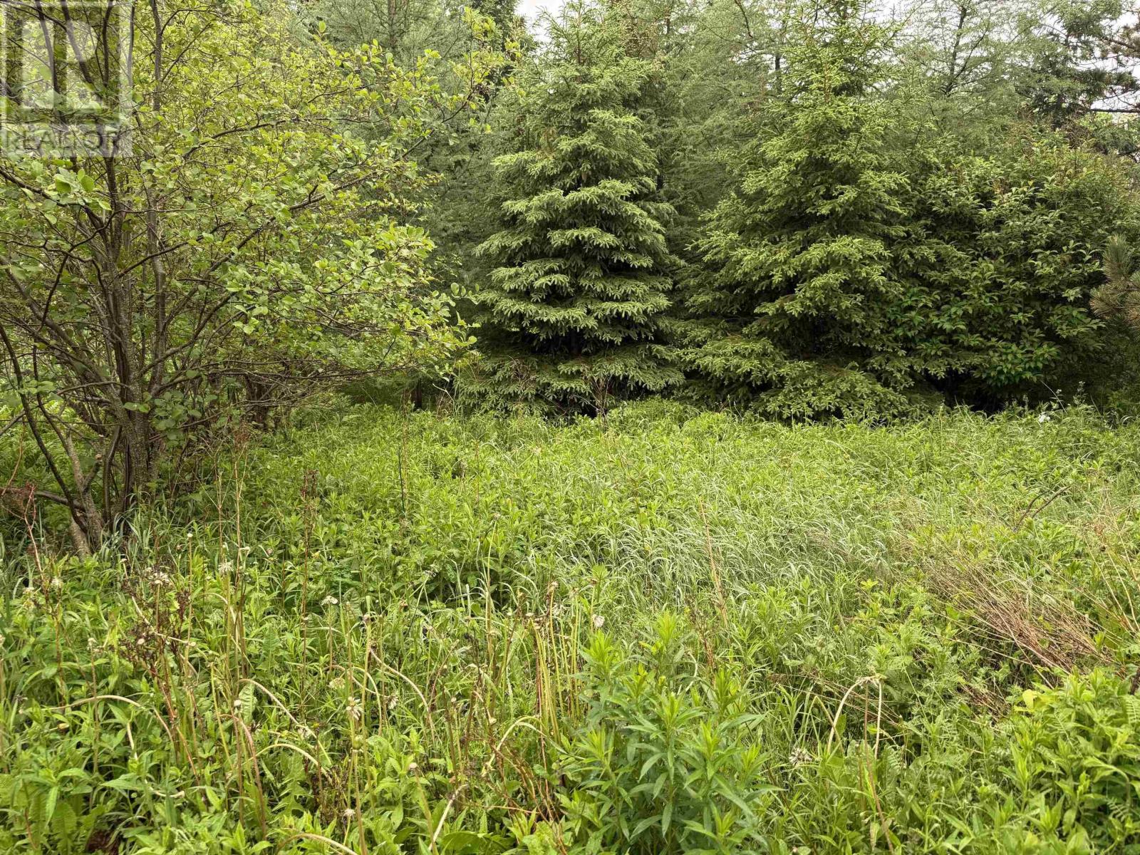 12309 Rte 6, Margate, Prince Edward Island  C0B 1M0 - Photo 20 - 202614330