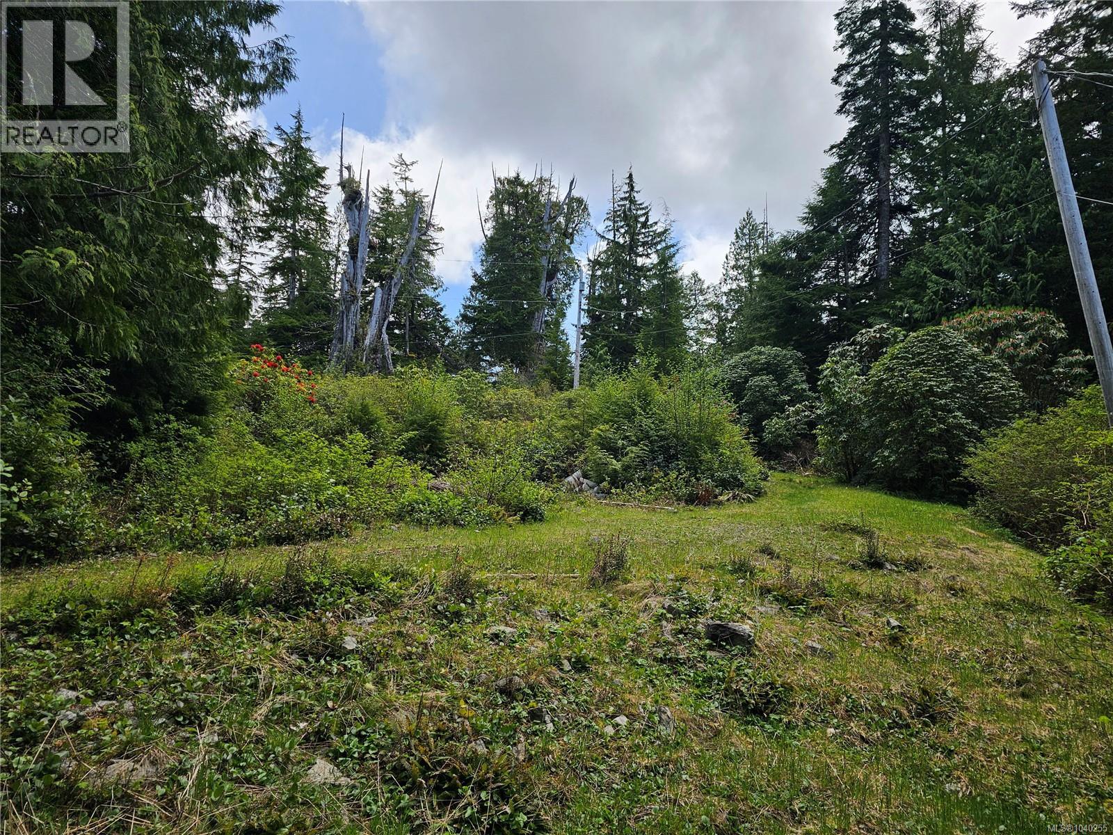 522 Burlo Island, Bamfield, British Columbia  V0R 1B0 - Photo 12 - 1040255