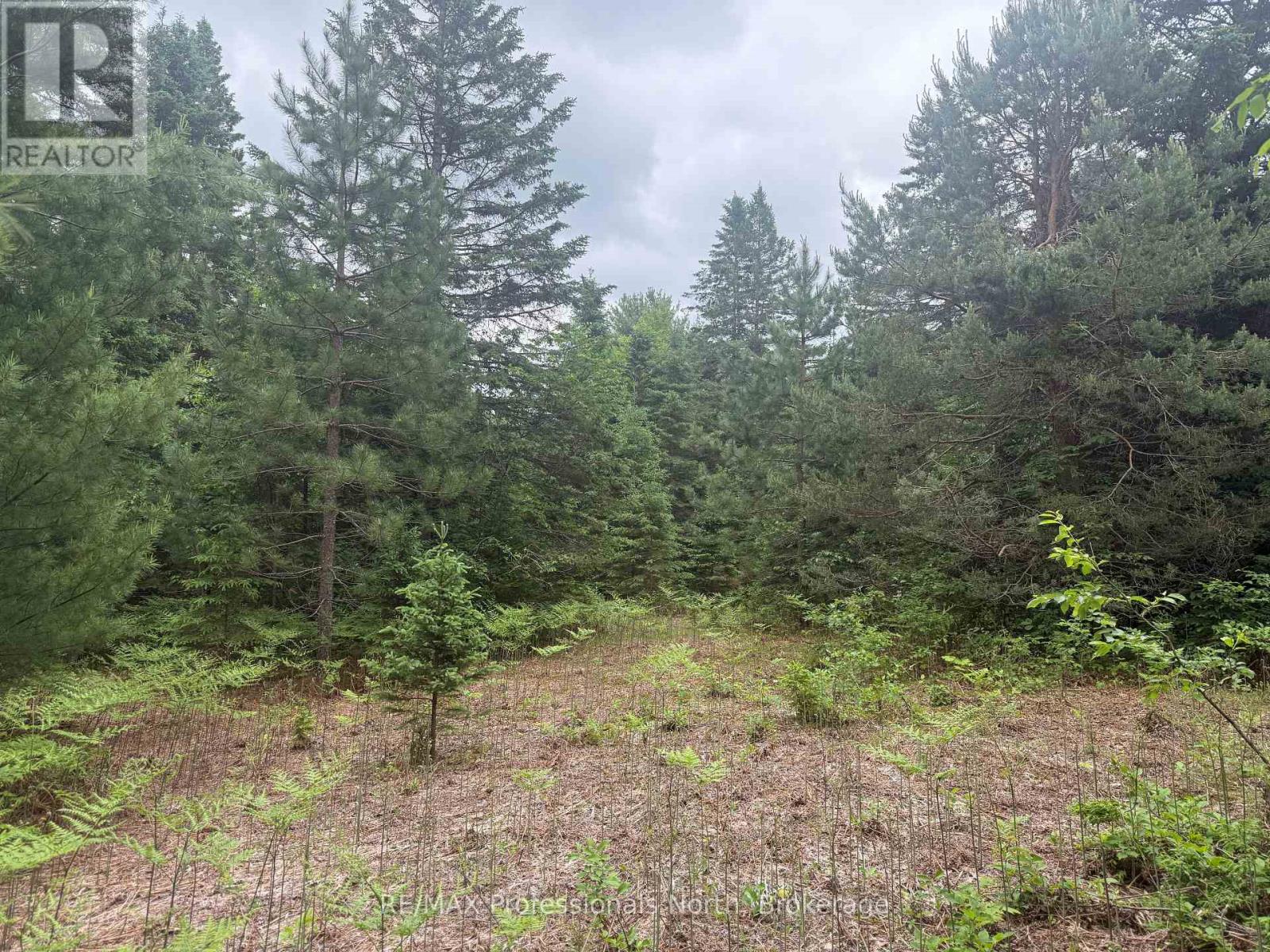1325 Williamsport Road N, Huntsville, Ontario  P0A 1L0 - Photo 8 - X13442038