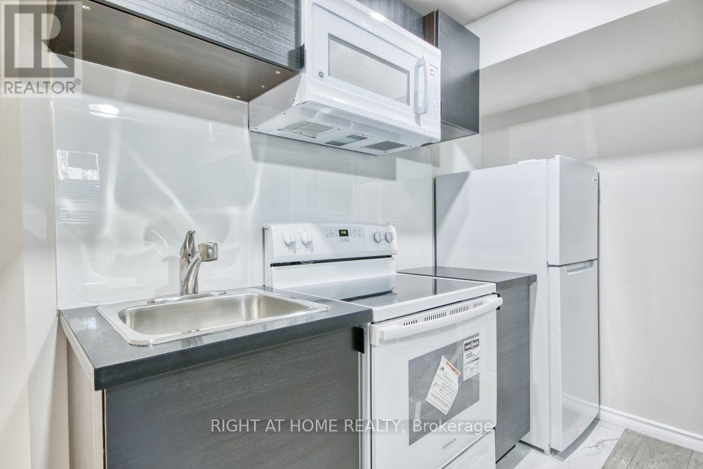 Bsmt - 1389 Military Trail, Toronto, Ontario  M1C 1A7 - Photo 11 - E13442146