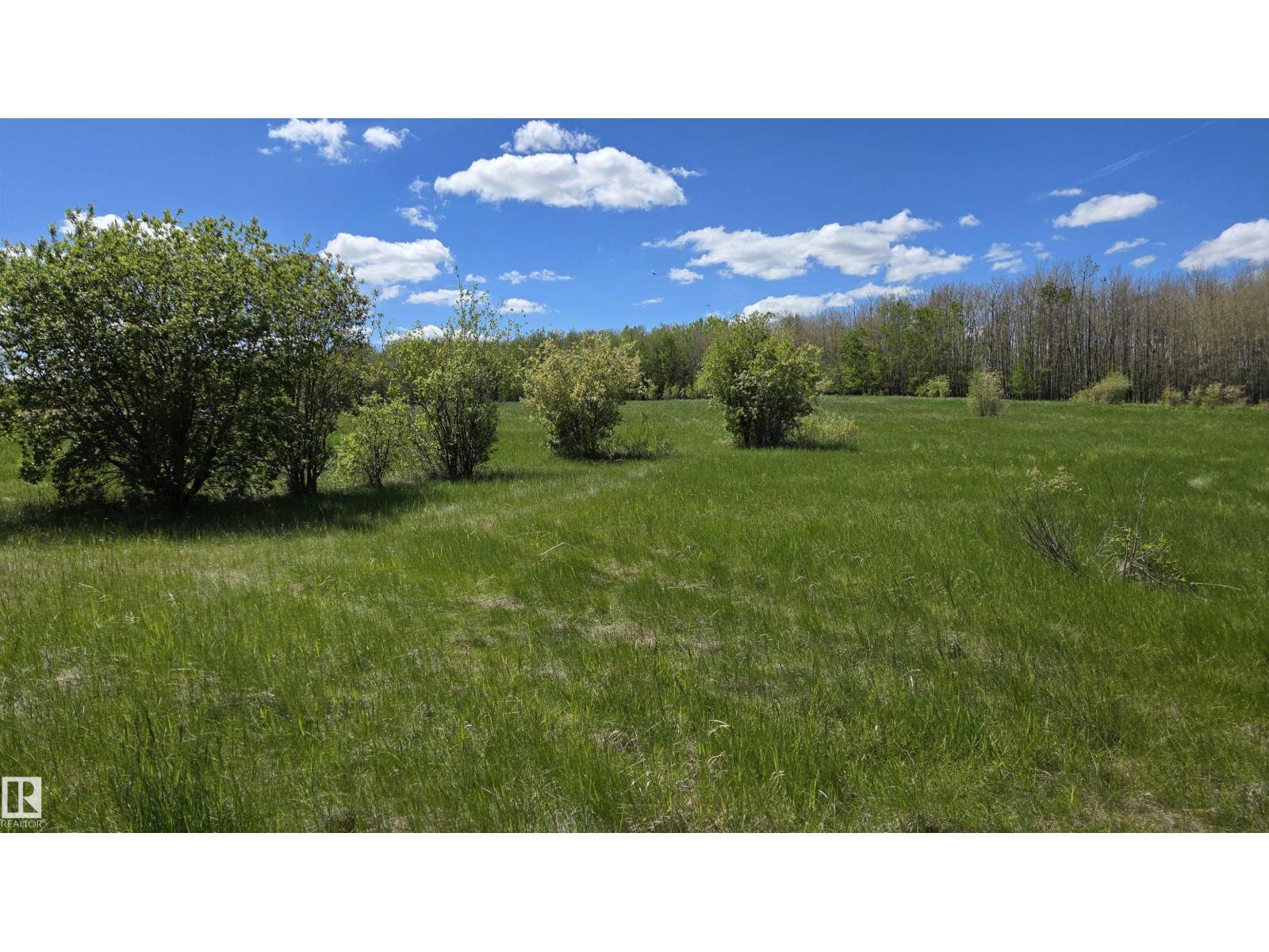 22 15025 Twp Rd 470, Rural Wetaskiwin County, Alberta  T0C 2V0 - Photo 5 - E4475834