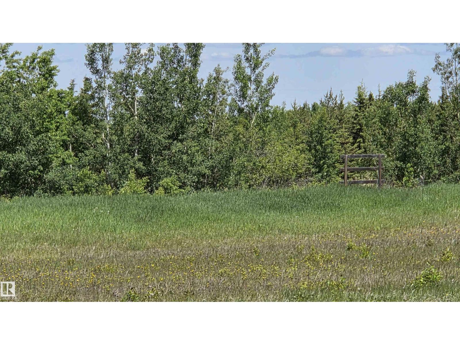 Twp 470 Hwy# 771, Rural Wetaskiwin County, Alberta  T0C 2V0 - Photo 7 - E4478982