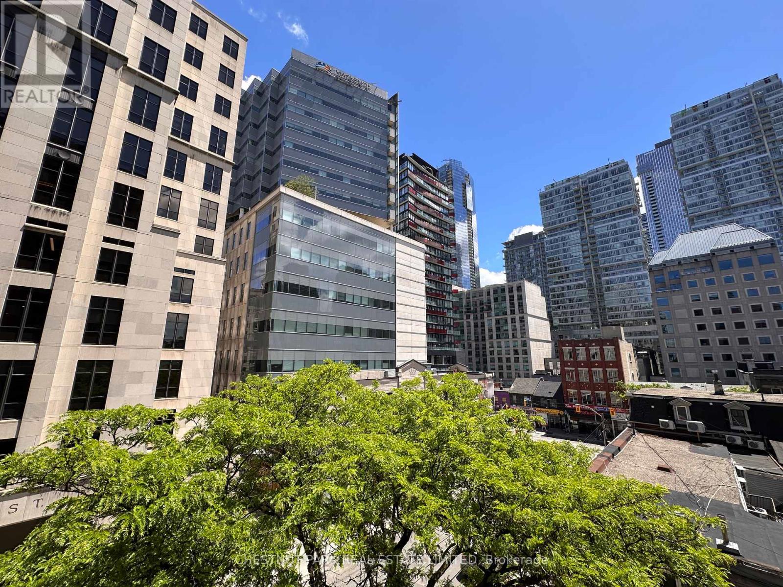 507 - 20 Saint Patrick Street, Toronto, Ontario  M5T 2Y4 - Photo 17 - C13442216