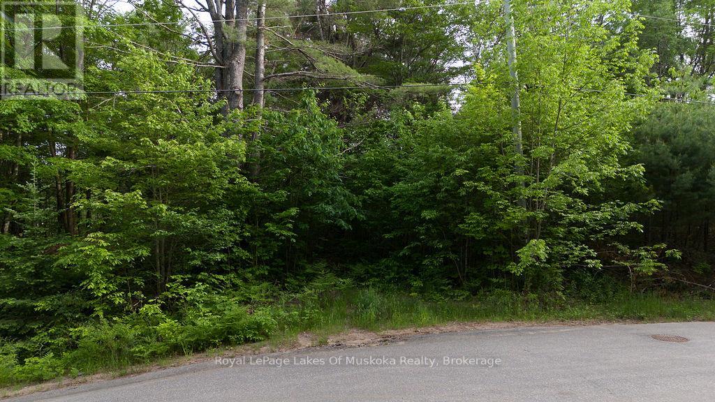 0 Spruce Street, Lake Of Bays, Ontario P0B 1A0 - Photo 11 - X13442264