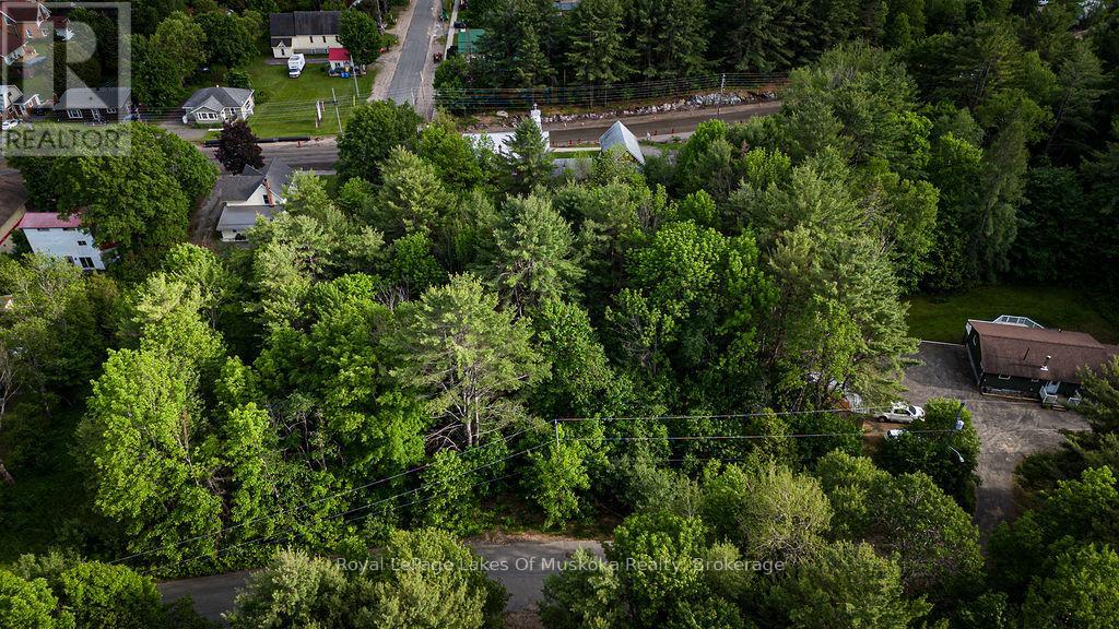 0 Spruce Street, Lake Of Bays, Ontario P0B 1A0 - Photo 8 - X13442264