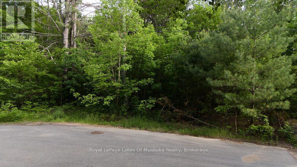 0 Spruce Street, Lake Of Bays, Ontario P0B 1A0 - Photo 9 - X13442264