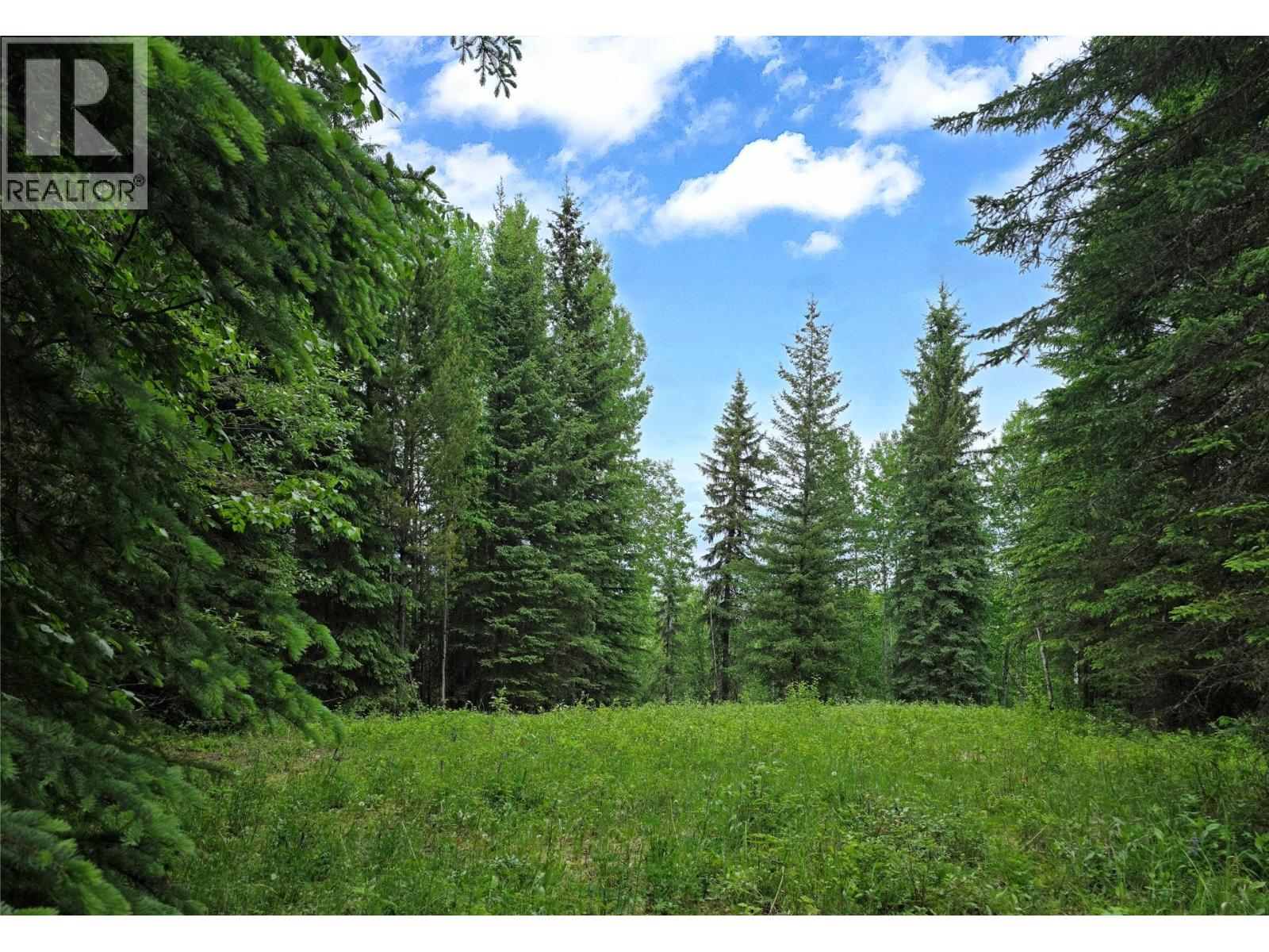 Lot 9 Dl8982 Day Road, Horsefly, British Columbia  V0L 1L0 - Photo 10 - R3135693