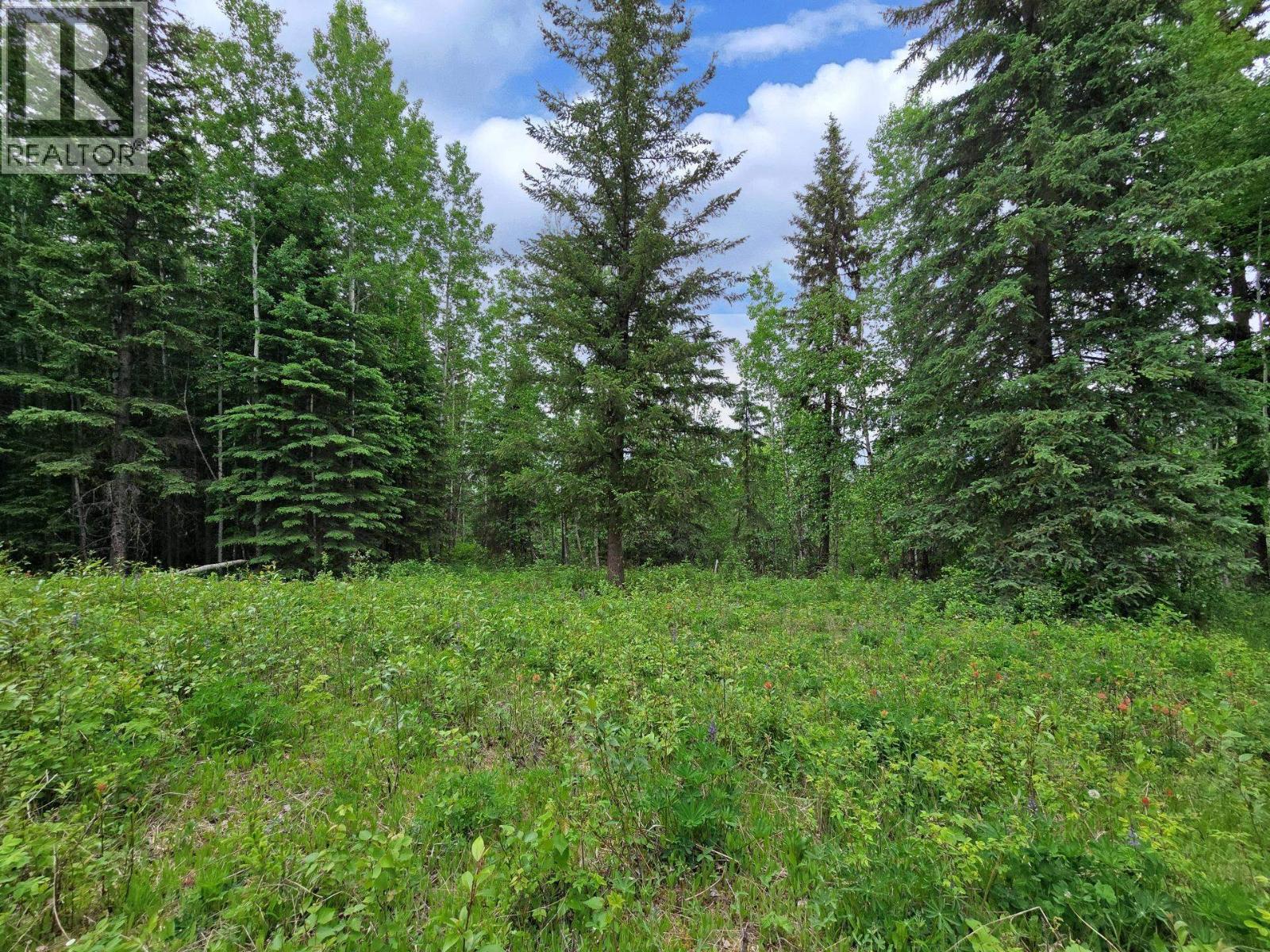 Lot 9 Dl8982 Day Road, Horsefly, British Columbia  V0L 1L0 - Photo 6 - R3135693