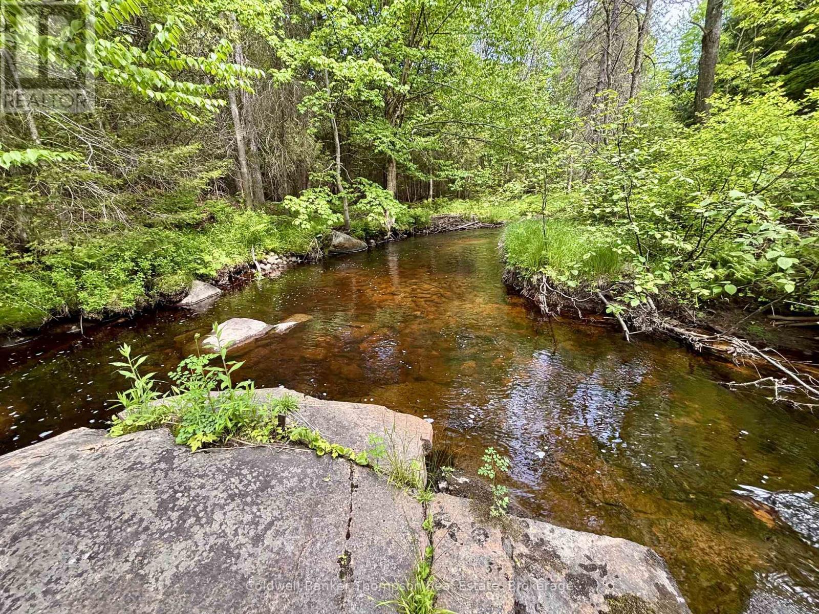 63 Forestry Road, Powassan, Ontario P0H 2L0 - Photo 9 - X13442356