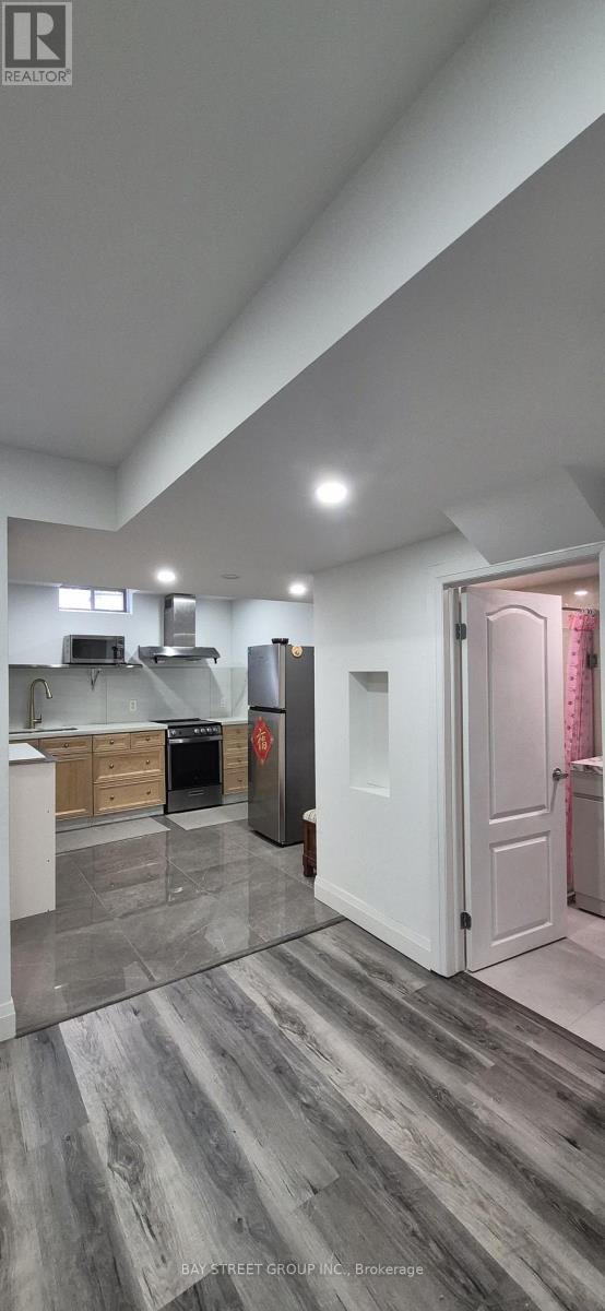 Basement - 24 Stony Hill Boulevard, Markham, Ontario  L6C 0L6 - Photo 8 - N13442354