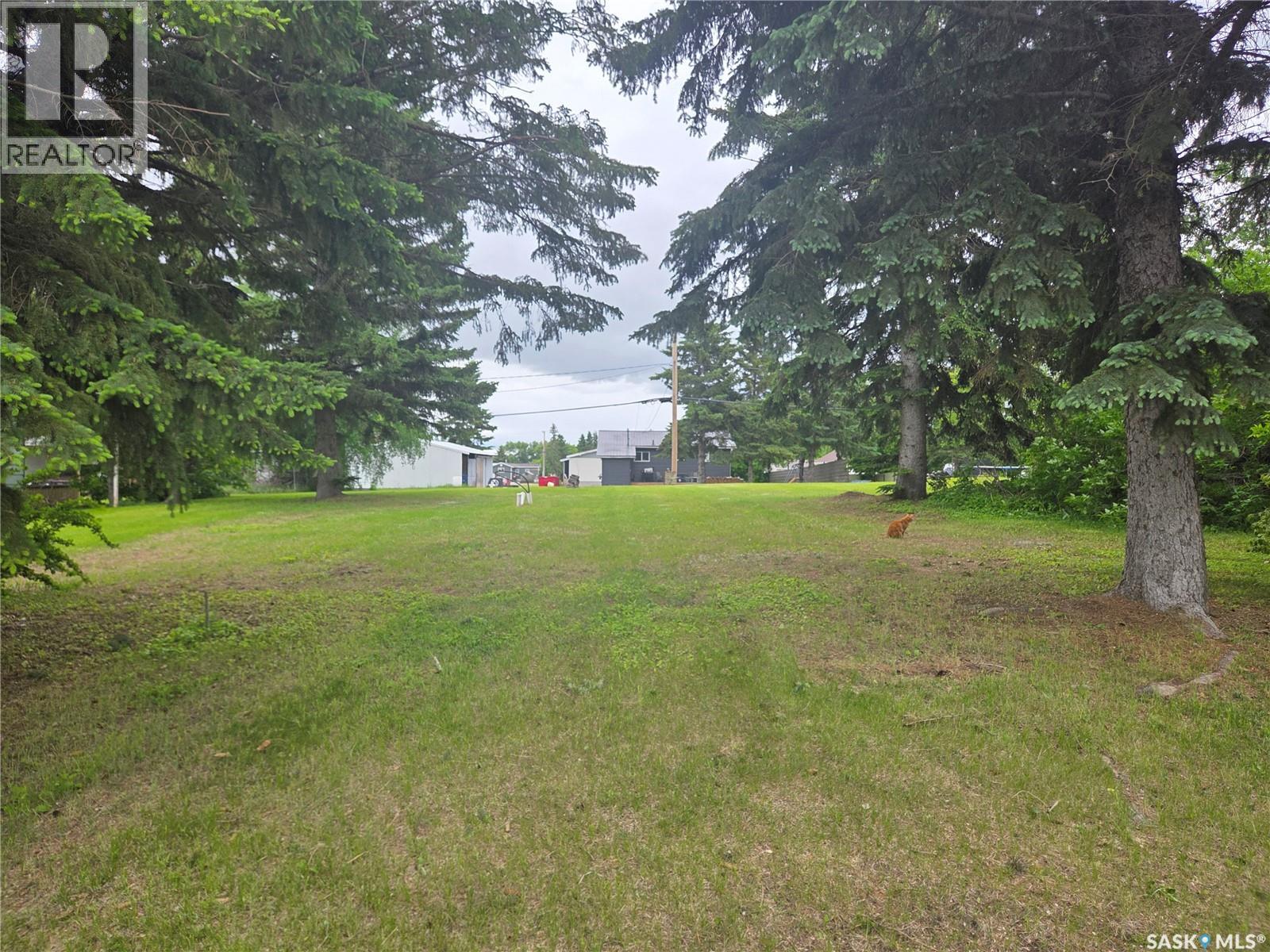 29 Newcombe Street, Manor, Saskatchewan  S0C 1R0 - Photo 6 - SK039322