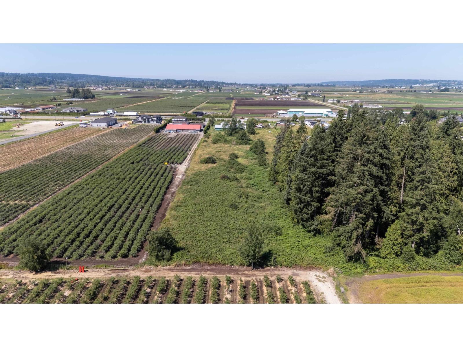 3890 176 Street, Surrey, British Columbia  V3S 0L5 - Photo 6 - R3135339