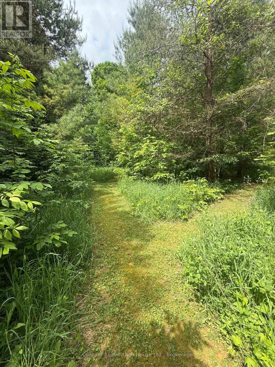 395551 2 Concession, Chatsworth, Ontario  N0H 2V0 - Photo 19 - X13424548