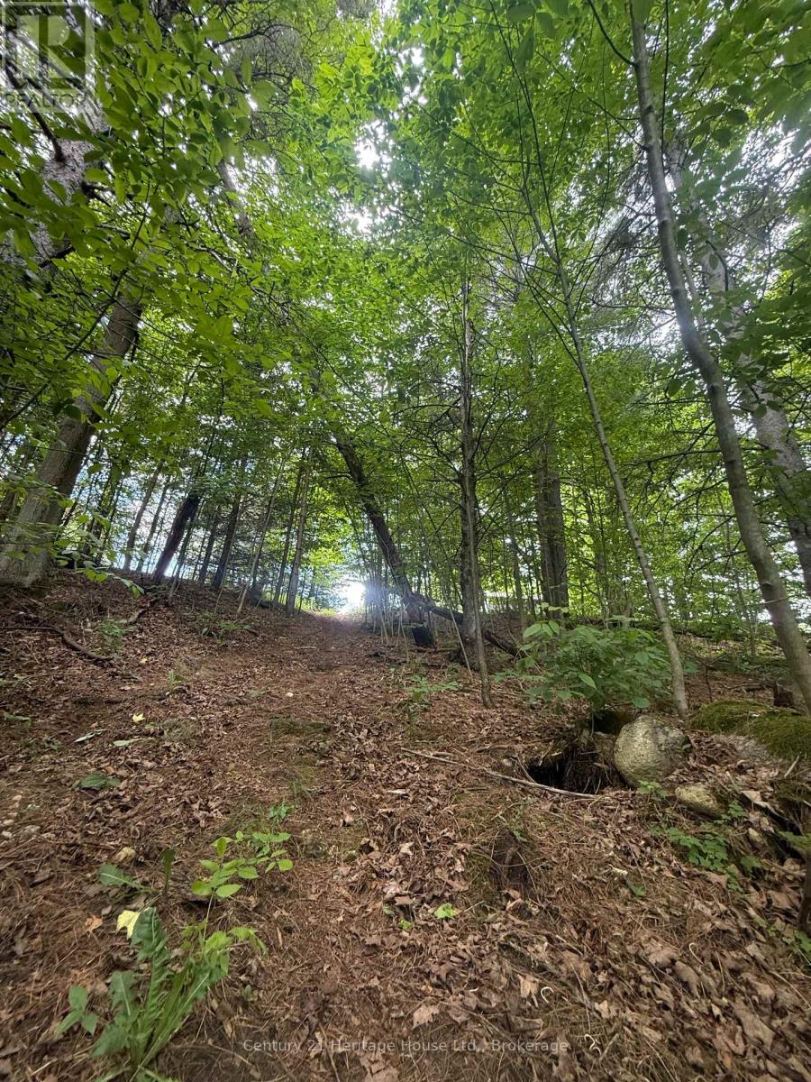 395551 2 Concession, Chatsworth, Ontario  N0H 2V0 - Photo 18 - X13424548
