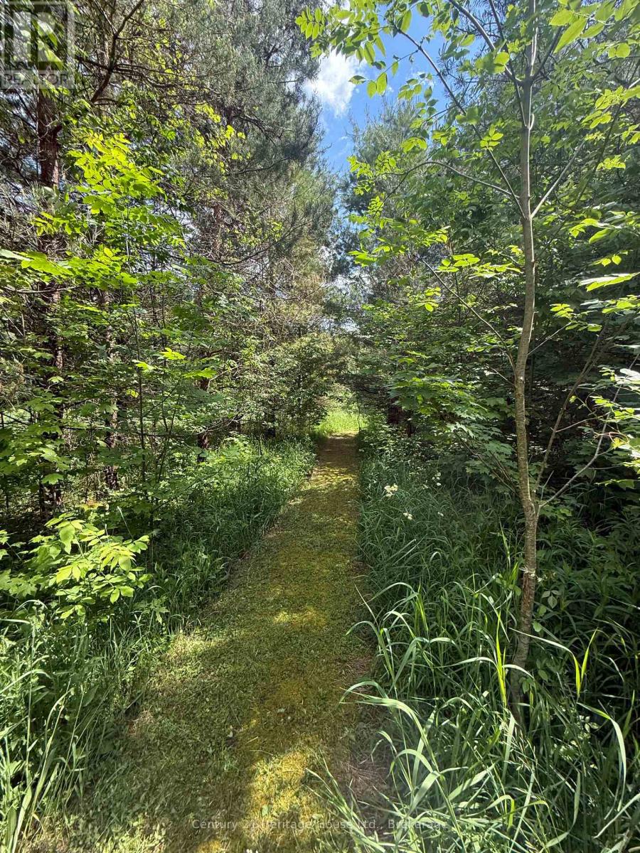 395551 2 Concession, Chatsworth, Ontario  N0H 2V0 - Photo 23 - X13424548