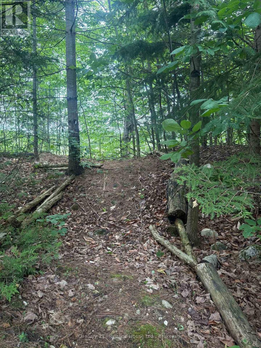 395551 2 Concession, Chatsworth, Ontario  N0H 2V0 - Photo 14 - X13424548