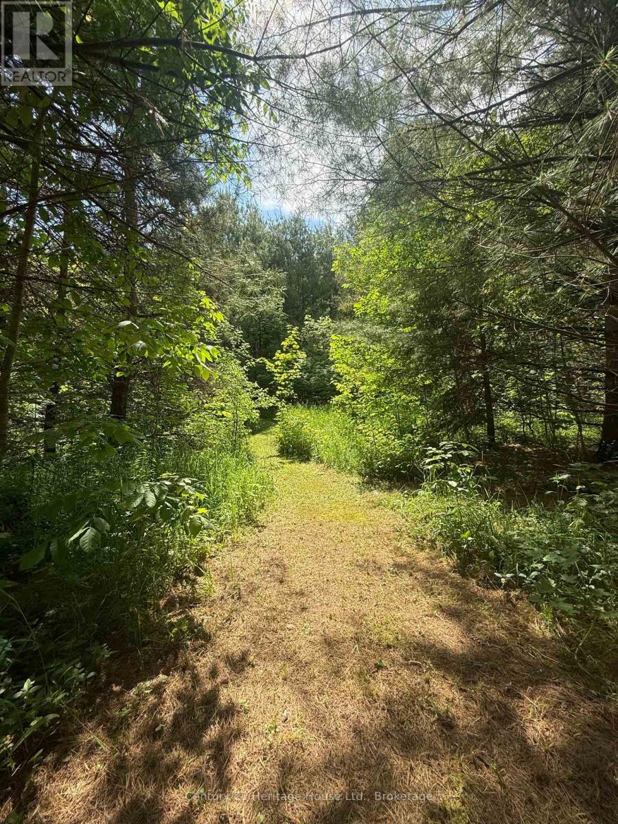 395551 2 Concession, Chatsworth, Ontario  N0H 2V0 - Photo 22 - X13424548