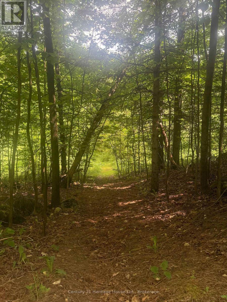 395551 2 Concession, Chatsworth, Ontario  N0H 2V0 - Photo 27 - X13424548