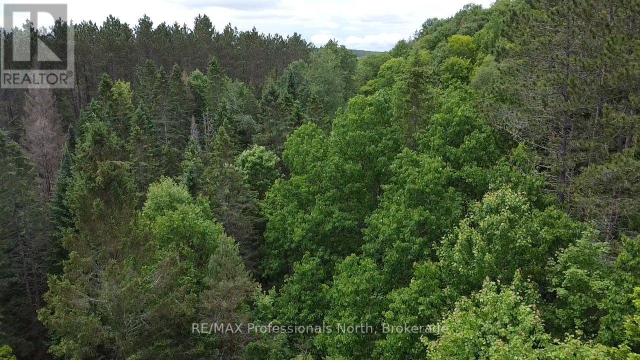 1325 Williamsport Road N, Huntsville, Ontario  P1H 2J4 - Photo 15 - X13442038