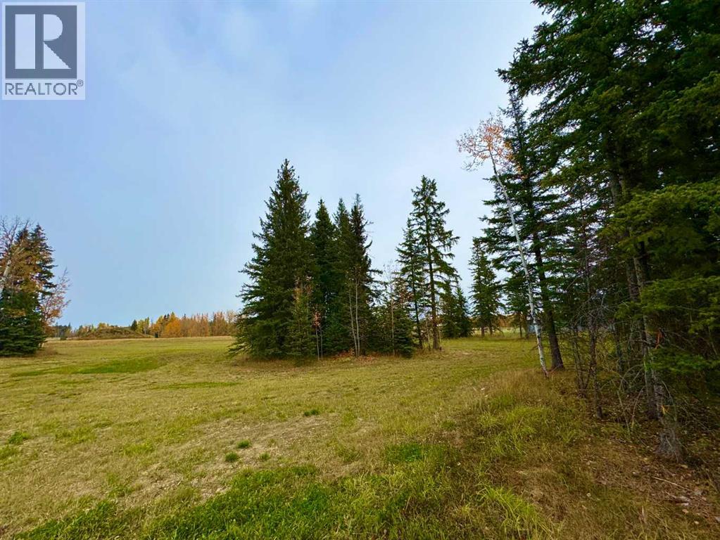 116 Meadow Ponds Drive, Rural Clearwater County, Alberta  T4T 1A7 - Photo 7 - A2264723