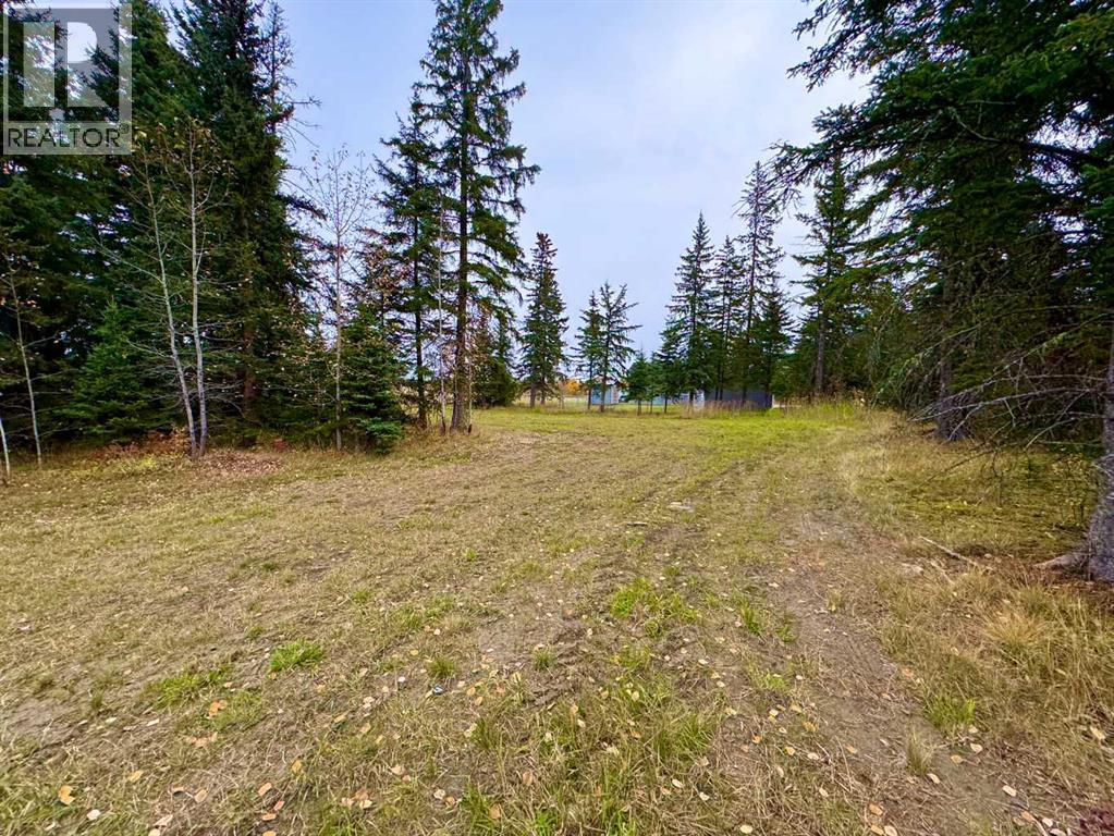 116 Meadow Ponds Drive, Rural Clearwater County, Alberta  T4T 1A7 - Photo 6 - A2264723
