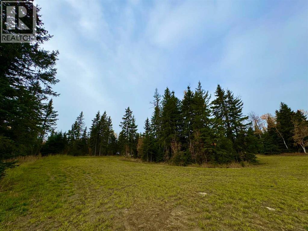 116 Meadow Ponds Drive, Rural Clearwater County, Alberta  T4T 1A7 - Photo 2 - A2264723