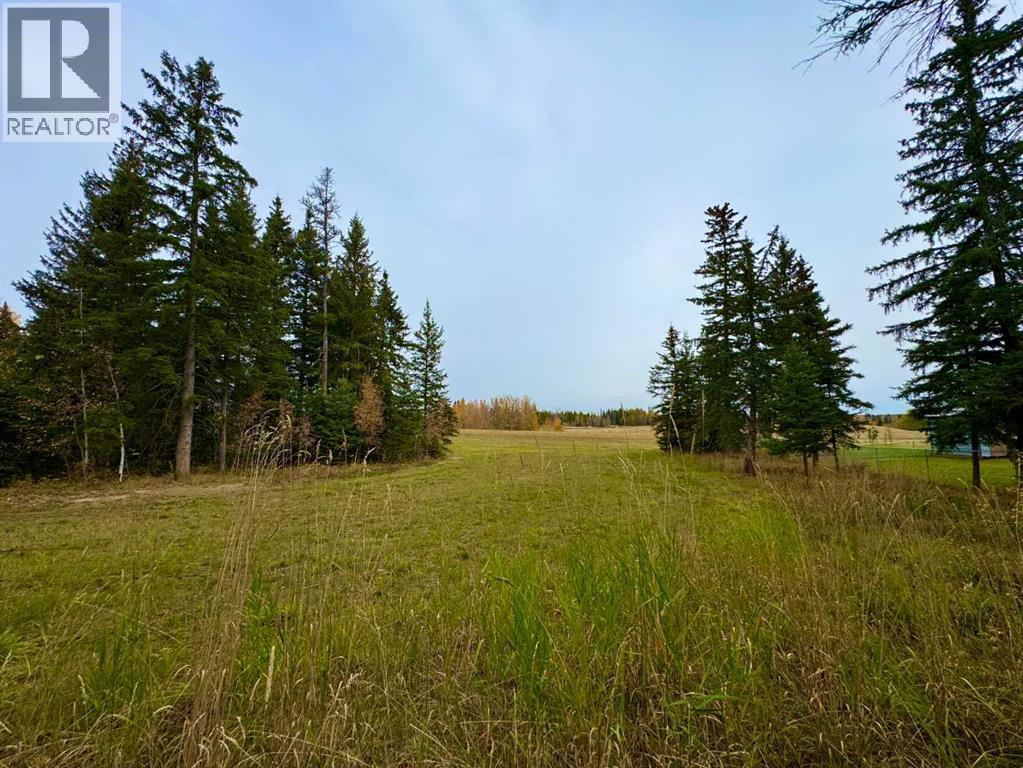 116 Meadow Ponds Drive, Rural Clearwater County, Alberta  T4T 1A7 - Photo 5 - A2264723