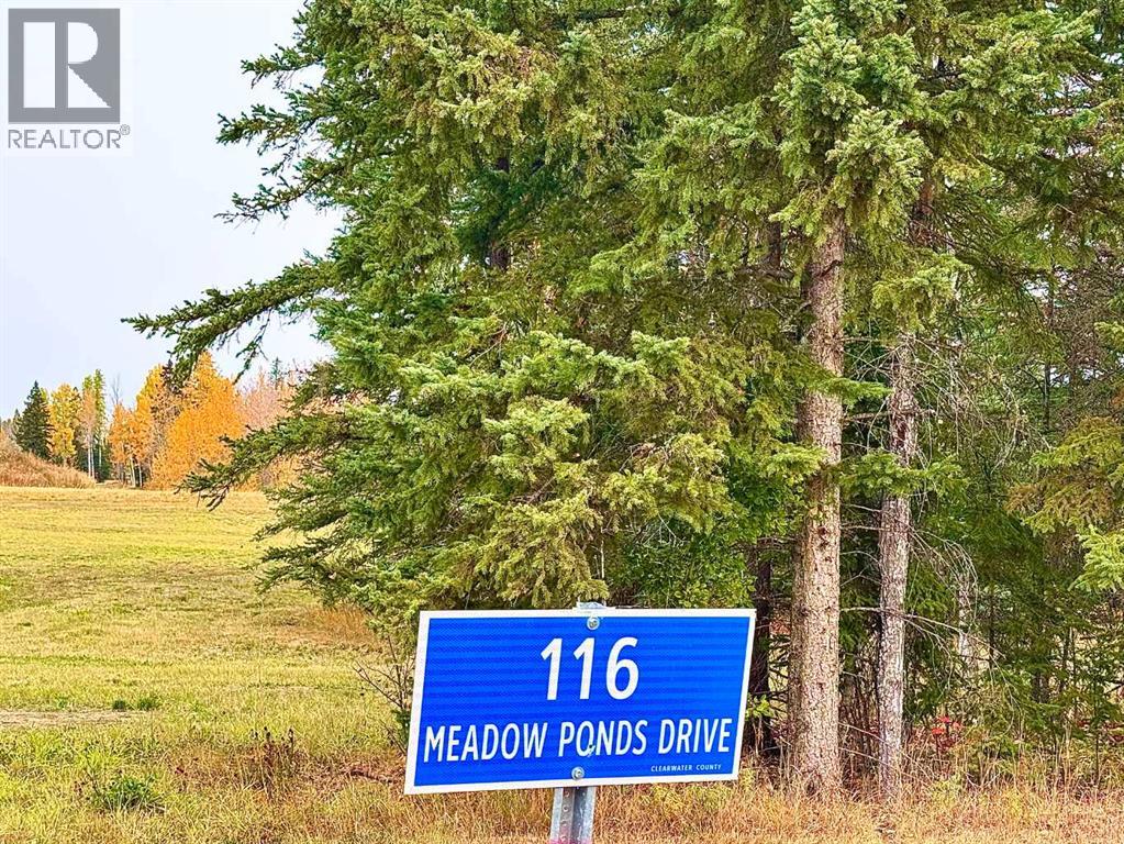 116 Meadow Ponds Drive, Rural Clearwater County, Alberta  T4T 1A7 - Photo 10 - A2264723