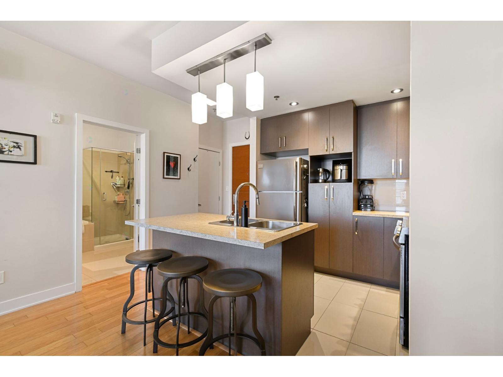3311 Boul. St-Joseph E.|#313 Montréal (Rosemont/La Petite-Patrie) Quebec Canada H1X1W3 5