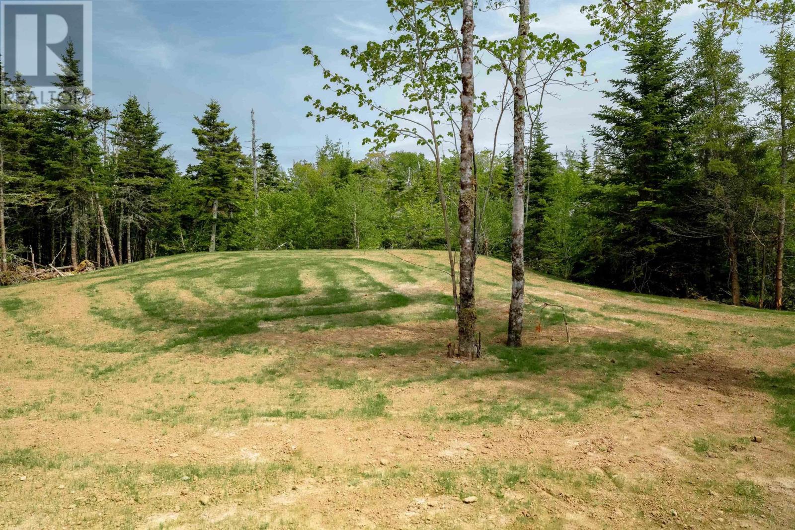 picture 30