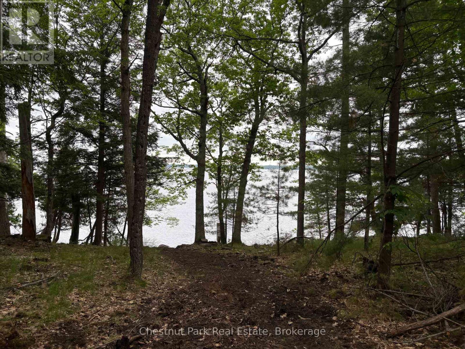 972 Browning Island, Bracebridge, Ontario  P1L 1X2 - Photo 3 - X13417984